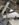 50641C5B-7FED-491F-A1CE-935642466BE0.jpeg