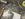 7879C6FA-B703-416D-8E27-509F96707390.jpeg