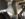 BEF46E71-3535-4262-A5BB-EEE2B7429F1C.jpeg