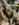 E370B62B-9E97-4EAC-8489-4915D3B142D4.jpeg