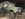 1B5419D6-8A97-40CD-AFF2-32CEAEC9C61B.jpeg