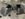 C4ACCBD0-1732-4E91-9BDD-2992CBD0DBFD.jpeg