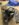 18AA8B2B-D1E3-4547-ADAD-DCC5AA7D11D0.jpeg