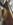 received_169888328217092.jpeg