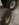03276A33-5097-45EF-905A-BB8F777D6CFE.jpeg