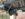 F3DC0F2D-BF8A-4711-BD60-D3FEA0993E3C.jpeg