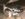 CBB75488-8142-4FB2-B34E-410DFD1C7EFE.jpeg
