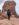 4421A935-A93A-421D-8B80-F5A9BFAE2AE5.jpeg