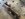 5601157C-B2E2-4FD1-BC0B-E3DF0EF675A5.jpeg