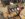 402A486E-ED95-4D01-9AEC-60174474A7EF.jpeg
