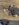46758DB6-3B89-4291-8F8E-98E43683FE1D.jpeg