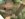 138825448_10158280332724006_861732049595276958_o.jpg
