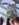 C337FA8F-F346-41D0-94AD-6103ADD51CF6.jpeg