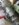 20211B8F-ACDB-478C-8A8C-4E2B41E0FA07.jpeg