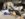 0191EF98-E288-466C-9FE3-29AD4AFA0D69.jpeg