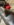 51DD699A-00E8-4D8C-8BDA-789D0326368C.jpeg