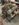 93B0D463-07C9-41C9-9064-7A9FFA02D930.jpeg