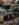 D1734735-85B4-4185-BA48-D184FBEE099D.jpeg