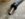 D437E958-1302-48CA-A72C-34ABA0E818EE.jpeg