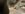 BCF3F535-781B-4CA1-8C47-39B697E92CE3.jpeg