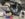 BB917CEB-BC0C-43B5-B56A-E2E963C646D7.jpeg