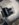 A23B37FC-E85B-45F1-AB23-E8CD0837E524.jpeg