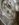 96C6486C-E6A0-453A-BA57-FCE171872C62.jpeg 96C6486C-E6A0-453A-BA57-FCE171872C62.jpeg