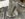 ED40BF75-4DC5-4C20-9757-1EC37D2F57A0.jpeg