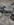IMG_1998.PNG