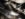 30A7749C-A4FB-4E78-BC18-49E3F4996A03.jpeg