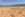 845F9A81-6B61-452F-AF3A-4D22299D7419.jpeg