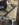 CBDF930A-DA41-4A50-906E-C35DCA8A1951.jpeg