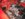 B03F67D9-553E-4A49-A744-453368651FC0.jpeg
