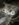 3AEC42B1-CF2B-45DD-8250-9257B8BE4AD3.jpeg