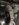 8A2D0B65-44CF-4D90-A532-C92CDF618C18.jpeg