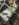 391A69CC-6601-4CDB-BF52-8B795A3C62DB.jpeg