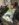 1FDC69AD-C50A-4511-B3F4-DF189AEC5D12.jpeg