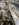 3E6F7929-7A31-41FC-A401-CB3AEFB57585.jpeg