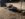 E9EA418B-376A-461D-9C44-20C454E28993.jpeg