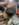 B409AA74-2B1F-4BAE-B6C3-50A98C6FA906.jpeg