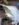 CEA0F5E0-18BC-417D-99DF-9FFF3F609C61.jpeg