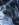 D4A16663-9290-4D55-B0CE-C1FF23D48494.jpeg