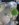 FF254198-4A8F-4BF6-A8D2-A9BC605B145E.jpeg