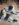 83949A1B-A403-4FFE-BCA9-370DDFE62AC6.jpeg