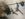 5DD7C02B-AE8C-47E2-9DA6-984F6DB8D4C8.jpeg