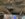 0C0DA2A5-C101-4A18-A782-21B15185264C.jpeg