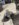 40BCD2E8-CF3A-47F6-8AB7-D4CFE11460DB.jpeg