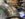 F619E44E-3998-4D7E-A9F3-C93701F69401.jpeg