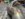 D5F6D605-8ACA-4E92-868E-E936CAE000DF.jpeg
