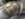 E0FC6763-6E6D-41D0-BD30-15C8B1FEF359.jpeg